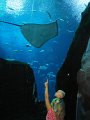 August2008 113
